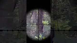 DMR vs Snipers We did not miss Silverback Srs works even in a windy weather. #airsoftsniper #airsoft