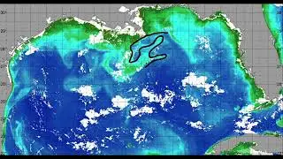 Gulf of America (Mexico) Ocean Conditions Update - 8/19/2025