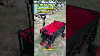 ELECTRIC WAGON | BEST 2025