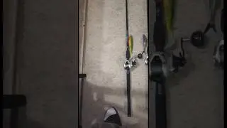 my baits 4the Spawn Berkley Cullshad & Nessie on a Tranx300A&B#fishing#fish#bassfishing#fishinglife
