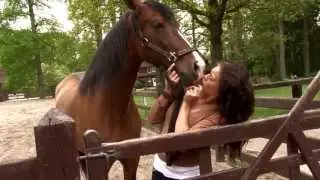 Springhorn Ferienidylle und Reiterhof