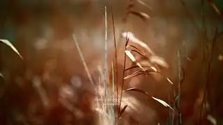 Return to Yourself | Healing Sound Journey into Stillness and Inner Truth