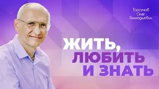 Три вечных желания души и как они формируют нашу жизнь (Торсунов О. Г.)