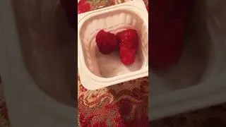 Малина класс