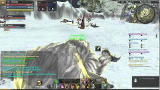 Raiderz Cleric using Damage hacker