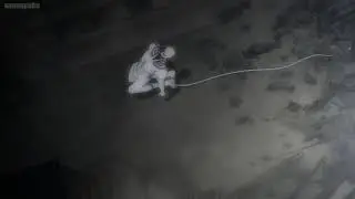 Eren vs Porco & Levi's Arrival!