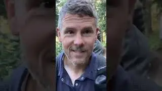 PCT 84: 300 Miles to Go #shorts #hiking #pct2022 #washingtonstate #washington #nosey