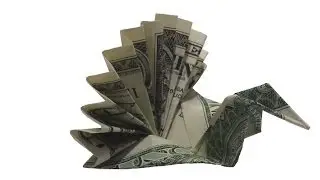 Turn a Dollar Bill Into a Cute Peacock!