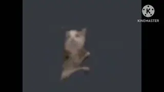 mi humor está roto