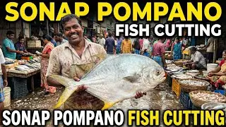 Amazing Fresh Pompano Fish Cutting in Fish Market | Expert Fish Cutting Skills 