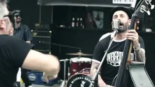 ILUSTRES PATILLUDOS - BESTIA,  BESTIA!!! (Cover Ilegales - Bestia,  Bestia!!!)