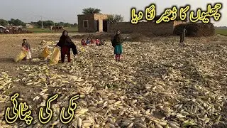 makki ki pataai ek Hi din m chhalon ka dher Laga Diya l Pakistan village life l dusra gaon dekhen 