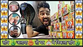 Kya Hoga ? Jab 1000 ￼Saap ki Goliya Jalaya . Kitna Bada Saap Niklaga ￼|| #experiment #youtube #viral