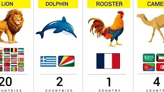 National Animals From Different Countries 2025 #nationalanimals2025