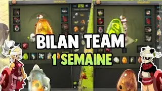 DOFUS - BILAN APRES UNE SEMAINE, TEAM LVL 110 - QUETES DOFUS/GAIN KAMAS
