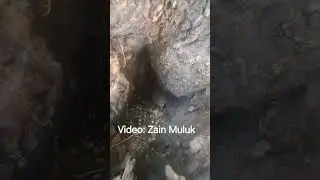 Owl Nest in Morder, Chitral