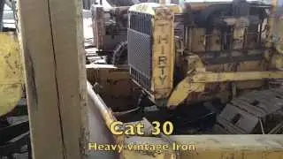 Cat 30