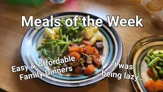 Meals of the Week | Easy, Affordable Dinners | Budget Friendly
