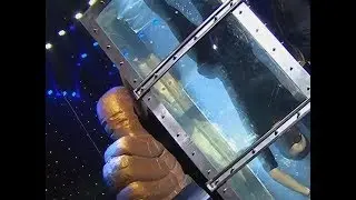 Magic - Water torture escape| CCTV English