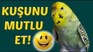 MUTLU KUŞLAR