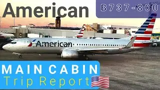 American B737-800 Main Cabin Trip Report | St Louis(STL) - Miami(MIA) |4K|