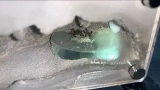 Перемещение моей колонии Lasius Neoniger в мини-очаг Tar Heel Ants