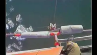 HELICOPTER DOG RESCUE