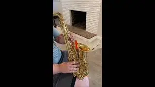 Selmer Ref 54 Hummingbird Charlie Parker Alto DEMO