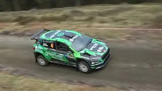 Ford Fiesta at Carlow Forest Rally 2025. Ireland 🇮🇪