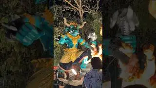 Must Watch Shigmo Parade Highlights 2025 #goa #shigmo #shigmotsav2025 #shorts