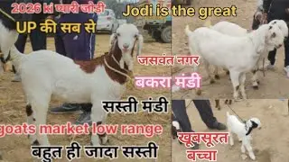 Aise Bakre# aap dekhte hi le# lene ke liye# majbur ho jaenge# जसवंत नगर# बकरा बाजार# इटवा जिला# UP 