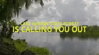 We're Calling You Out to Lake George State Forest