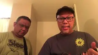 Turn To Stone (ELO Ukulele Cover)