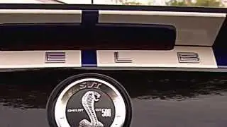 SVT: Special Vehicle Team @ Mustang Contagem Regressiva