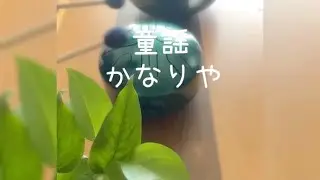 童謡　♪かなりや♪