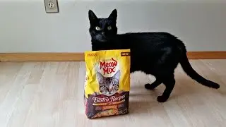 Meow Mix Bistro Recipes Review
