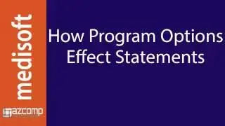 Medisoft: Statement Management Program Options