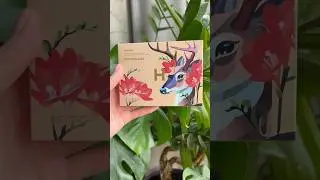 Hourglass ambient lighting palette in 01 Deer unboxing and swatches #swatches #unboxing #hourglass