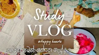දැන්ම පටන් ගන්න.පසුතැවෙන්න වෙයි🥲👍| Study vlog🕊️|තව ටික කාලයයි✍️🧿 Vlog 015 #viral #motivation #foryou