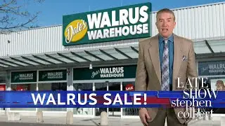 Tariffs Could Drive Up Walrus Prices