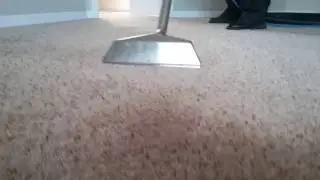 Best Carpet Cleaner in Sarasota. HOW OFTEN SHOULD I HAVE MY CARPET CLEANED?