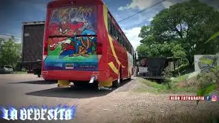 BUSES DE TRANSPORTE BLANQUITA EXPRESS