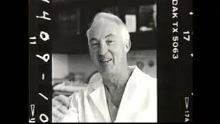 The Vision of Perseus: Norman Shumway (1993)