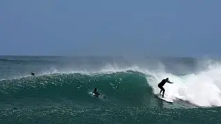 Surfing in New Zealand   Piha Beach 2025