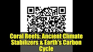 Coral Reefs: Ancient Climate Stabilizers & Earth's Carbon Cycle