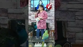 MORNING SHOW WITH SABI ARSH VENUS ENTERTAINMENT I04I