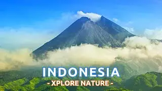 Virtual Guided Walk to the Majestic VOLCANO Mount Merapi, Indonesia