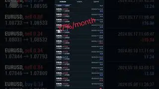 Алготрейдинг на базе ИИ. Copy Trading. AI Trading #metatrader #roboforex #forex    t.me @mellown