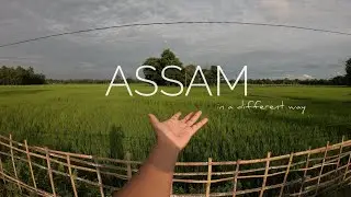 Assam, in a different way  | Assam is awesome || Cinematic video of Assam