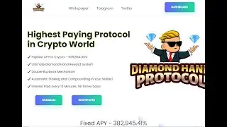 DIAMOND HAND PROTOCOL